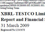 PDF to XBRL Conversion